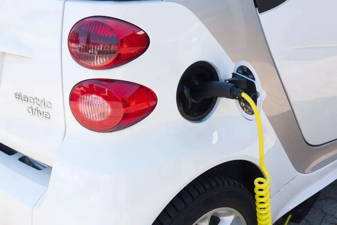 Self-driving new energy Spring Festival status